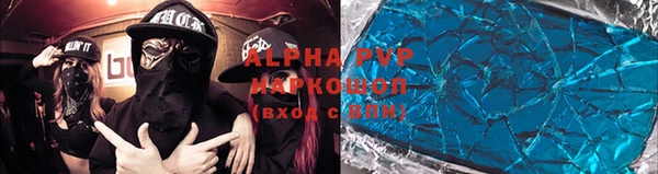 ГАЛЛЮЦИНОГЕННЫЕ ГРИБЫ Вяземский