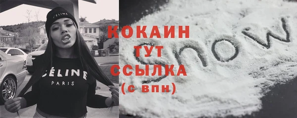 гидра Тайга
