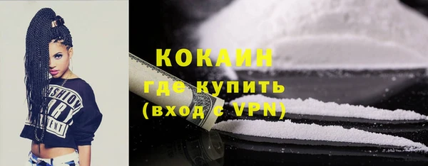 ГАЛЛЮЦИНОГЕННЫЕ ГРИБЫ Вяземский