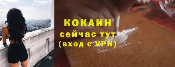 ГАЛЛЮЦИНОГЕННЫЕ ГРИБЫ Вяземский