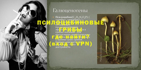 экстази Сясьстрой