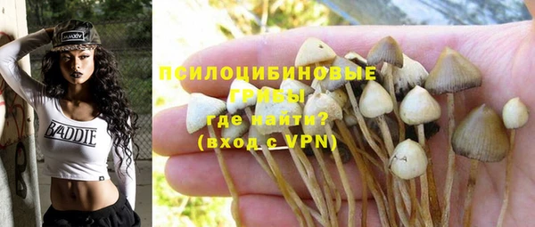 спайс Вязьма