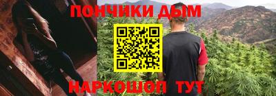 МДПВ Дубна
