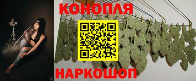 МДПВ Дубна