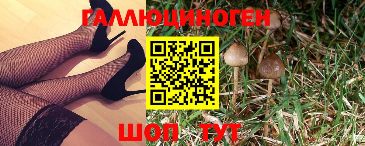 Псилоцибиновые грибы мухоморы  Галлюциногенные грибы Psilocybe  Нурлат 