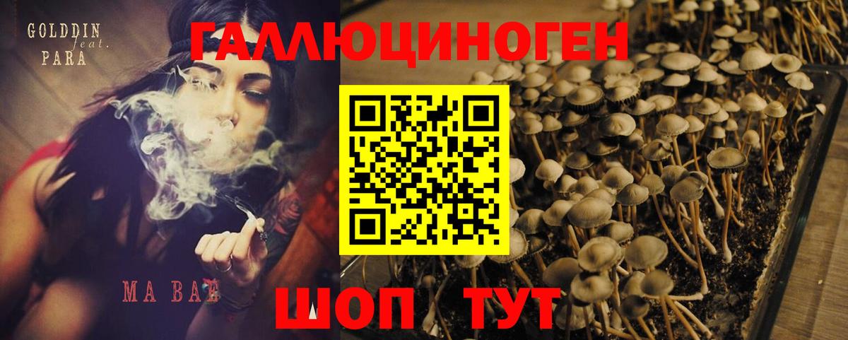 Псилоцибиновые грибы мухоморы Нурлат