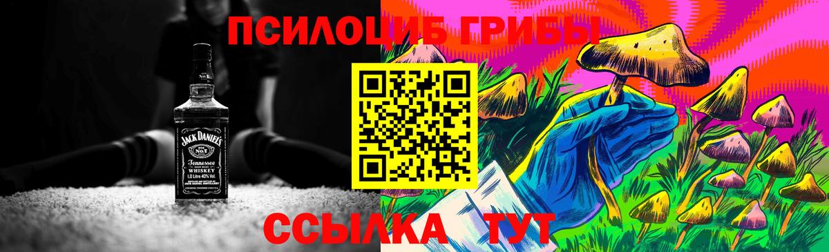 Псилоцибиновые грибы Magic Shrooms Нурлат